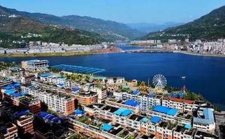 大渝网爆料台最新开县,大渝网爆料台最新爆料揭秘